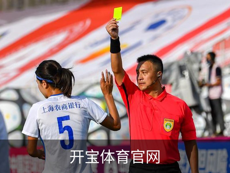 开宝体育官网介绍